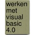 Werken met Visual Basic 4.0