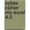 Sybex cahier ms-excel 4.0 door P. Duyvesteyn