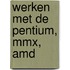 Werken met de Pentium, MMX, AMD