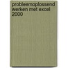 Probleemoplossend werken met Excel 2000 door P. Buysse