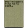 Probleemoplossend werken met MS Excel 5.0 by P. Buysse