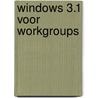 Windows 3.1 voor workgroups door E. Cuypers