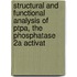 Structural and functional analysis of ptpa, the phosphatase 2a activat