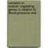 Variation in sodium-regulating genes in relation to blood pressure and