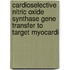 Cardioselective nitric oxide synthase gene transfer to target myocardi