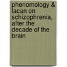 Phenomology & Lacan on Schizophrenia, After the Decade of the Brain door Waelhens, Alphonse De