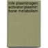 Role plasminogen activator/plasmin bone metabolism