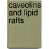 Caveolins and lipid rafts