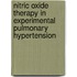 Nitric oxide therapy in experimental pulmonary hypertension