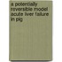 A potentially reversible model acute liver failure in pig