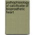 Pathophisiology of calcificatie of bioprosthetic heart