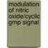 Modulation of Nitric Oxide/Cyclic GMP Signal