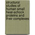 Structural studies of human small heat-schock proteins and their complexes