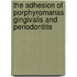 The adhesion of Porphyromanas Gingivalis and Periodontitis