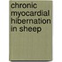 Chronic myocardial hibernation in sheep