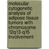 Molecular cytogenetic analysis of adipose tissue tumors with chromosome 12q13-q15 involvement