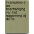 Interleukine-6 en beschadiging van het ruggemerg bij de rat