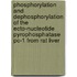 Phosphorylation and dephosphorylation of the ecto-nucleotide pyrophosphatase PC-1 from rat liver