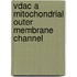 Vdac a mitochondrial outer membrane channel