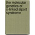 The molecular genetics of X-linked Alport syndrome