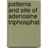 Patterns and site of adenosine triphosphat