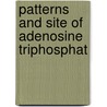 Patterns and site of adenosine triphosphat by Leyn