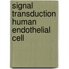 Signal transduction human endothelial cell door Geet