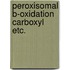 Peroxisomal b-oxidation carboxyl etc.