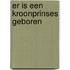 Er is een kroonprinses geboren