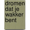 Dromen dat je wakker bent by A. van Ostaden