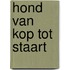 Hond van kop tot staart
