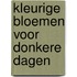 Kleurige bloemen voor donkere dagen