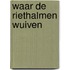 Waar de riethalmen wuiven