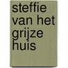 Steffie van het grijze huis door B.J. van Wijk