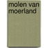 Molen van moerland