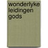 Wonderlyke leidingen gods