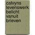 Calvyns levenswerk belicht vanuit brieven