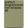 Grafisch programmeren met Windows 95 by M. Rasch