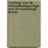 Richtlijnen voor de milieueffectrapportage voor de middellange termijn