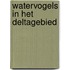 Watervogels in het Deltagebied