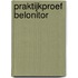 Praktijkproef belonitor