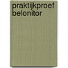 Praktijkproef belonitor by Studio Wegen naar de Toekomst