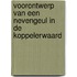 Voorontwerp van een nevengeul in de Koppelerwaard