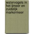 Watervogels in het IJmeer en zuidelijk Markermeer