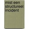 Mist een structureel incident by Unknown