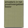 Amoebe's in het ysselmeergebied basisr by Hemelryk