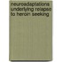Neuroadaptations underlying relapse to heroin seeking