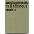 Angiogenesis in a Fibrinous matrix