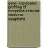 Gene expression profiling of morphine-induced neuronal adaptions