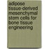 Adipose tissue-derived mesenchymal stem cells for bone tissue engineering